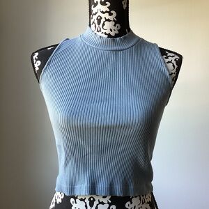 Blue Cropped Top